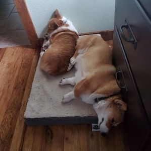 Meet your Posher, Tamara